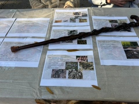 2025 Fall Book Sale 29